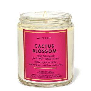 Bath & Body Works Cactus Blossom Candle